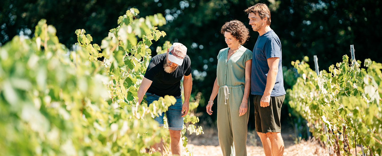 Balade dans les vignes © O’Brien