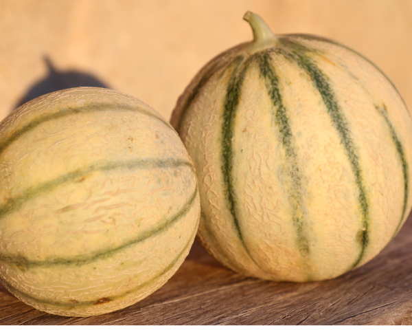 Melons de Cavaillon