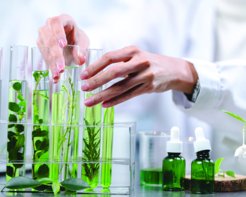 Laboratoire et plantes en éprouvette - crédit Adobe Stock